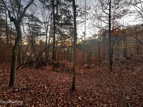 Tiny photo for Emerald Pt, Sharps Chapel, TN 37866 (MLS # 1331697)