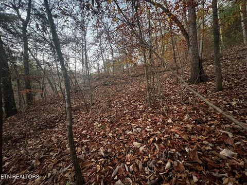 Tiny photo for Emerald Pt, Sharps Chapel, TN 37866 (MLS # 1331697)