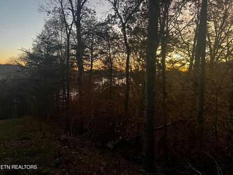 Tiny photo for Emerald Pt, Sharps Chapel, TN 37866 (MLS # 1331697)