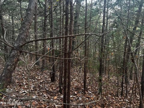 Tiny photo for Emerald Pt, Sharps Chapel, TN 37866 (MLS # 1331697)