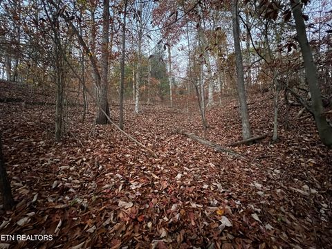 Tiny photo for Emerald Pt, Sharps Chapel, TN 37866 (MLS # 1331697)