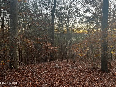 Tiny photo for Emerald Pt, Sharps Chapel, TN 37866 (MLS # 1331697)