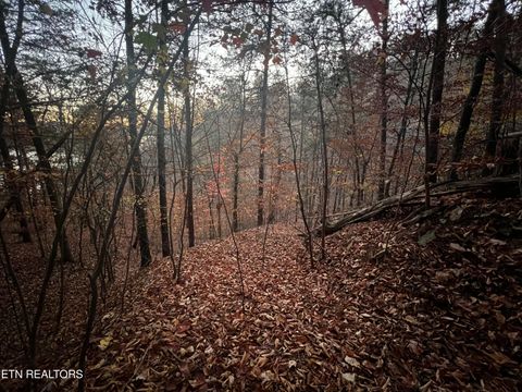 Tiny photo for Emerald Pt, Sharps Chapel, TN 37866 (MLS # 1331697)