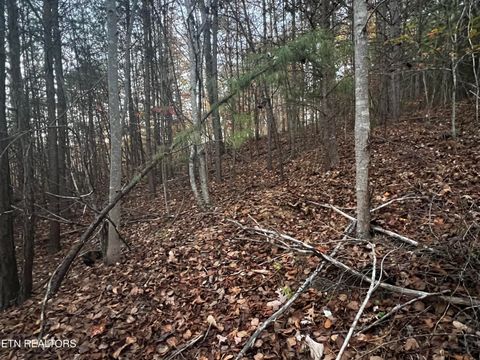 Tiny photo for Emerald Pt, Sharps Chapel, TN 37866 (MLS # 1331697)