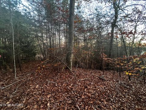 Tiny photo for Emerald Pt, Sharps Chapel, TN 37866 (MLS # 1331697)