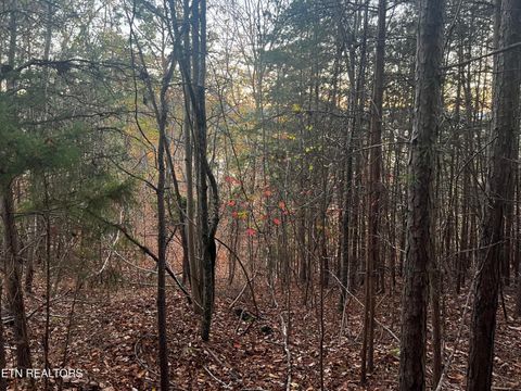 Tiny photo for Emerald Pt, Sharps Chapel, TN 37866 (MLS # 1331697)