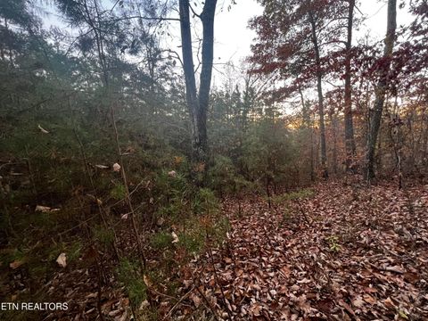 Tiny photo for Emerald Pt, Sharps Chapel, TN 37866 (MLS # 1331697)