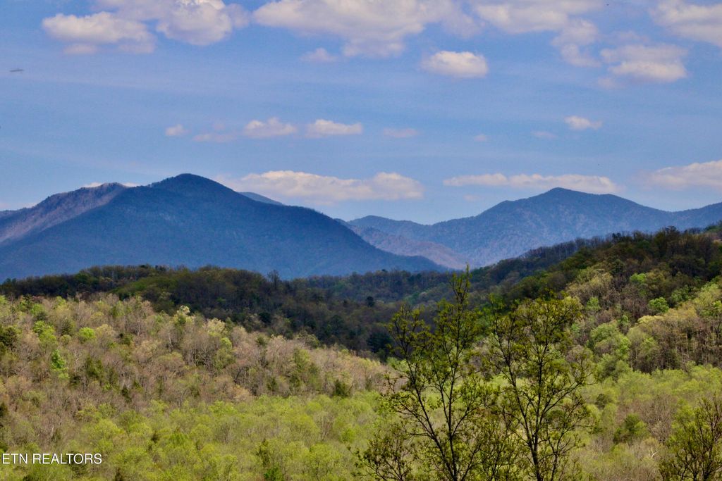 Photo of 224 Woodland Rd #UNIT 103, Gatlinburg, TN 37738 (MLS # 1339955)