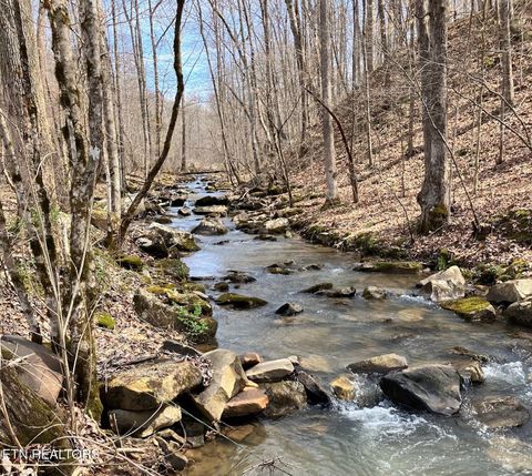 Photo of 4913 Snake Hollow Rd, Sneedville, TN 37869 (MLS # 1333609)