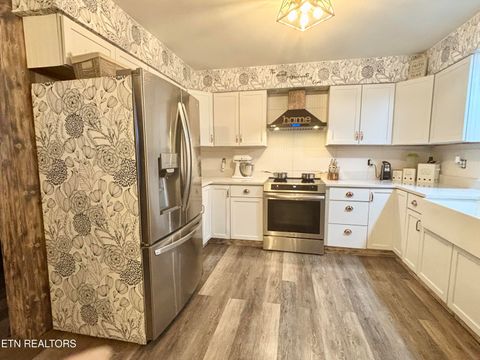 Tiny photo for 1264 Rowe St, New Tazewell, TN 37825 (MLS # 1318350)