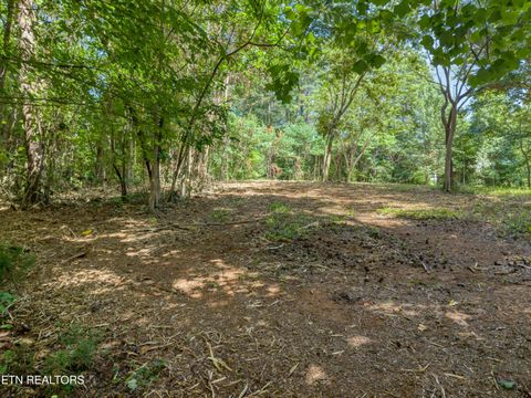 Tiny photo for Kennesaw Court, Maryville, TN 37801 (MLS # 1347675)