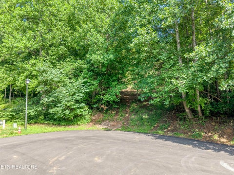 Tiny photo for Kennesaw Court, Maryville, TN 37801 (MLS # 1347675)
