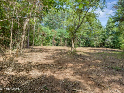 Tiny photo for Kennesaw Court, Maryville, TN 37801 (MLS # 1347675)