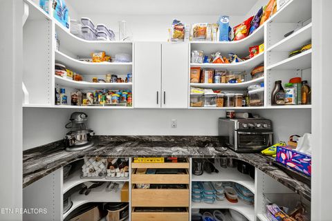 Tiny photo for 12633 Red Poppy Drive, Farragut, TN 37934 (MLS # 1336340)