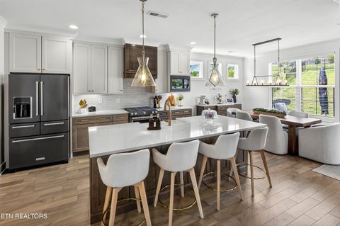 Tiny photo for 12633 Red Poppy Drive, Farragut, TN 37934 (MLS # 1336340)