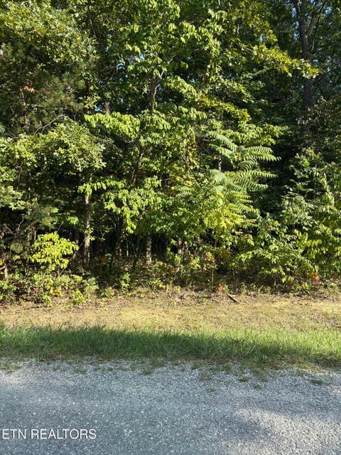 Photo of 151 Beachwood Drive, Crossville, TN 38558 (MLS # 1355046)