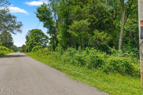 Tiny photo for 0 Buck Brown St, Englewood, TN 37329 (MLS # 1356109)