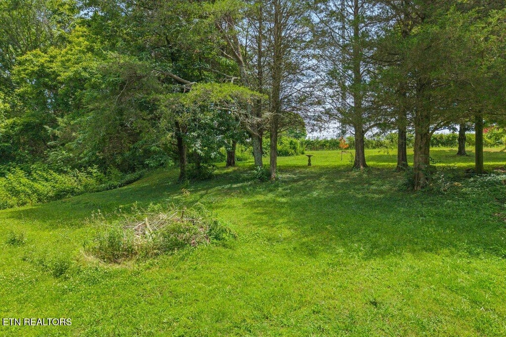 Photo of 0 Buck Brown St, Englewood, TN 37329 (MLS # 1356109)