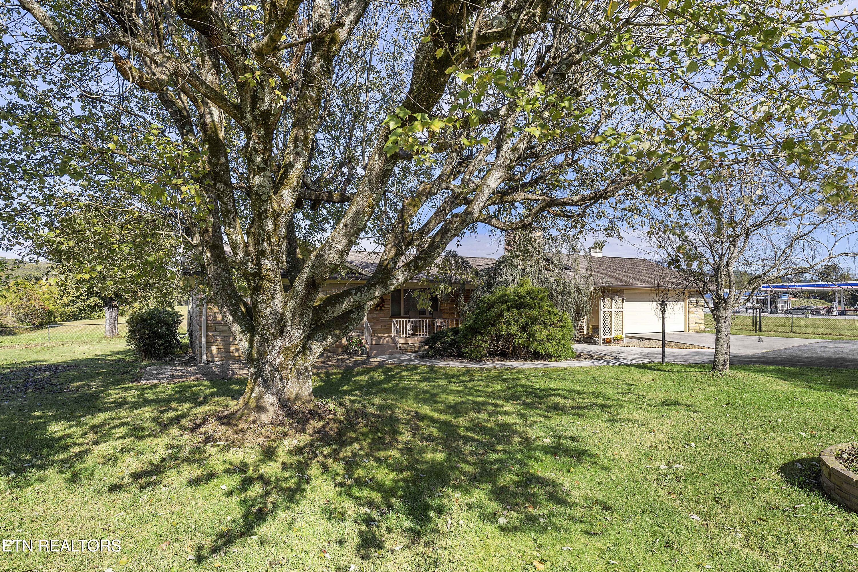 323 Maynardville Hwy