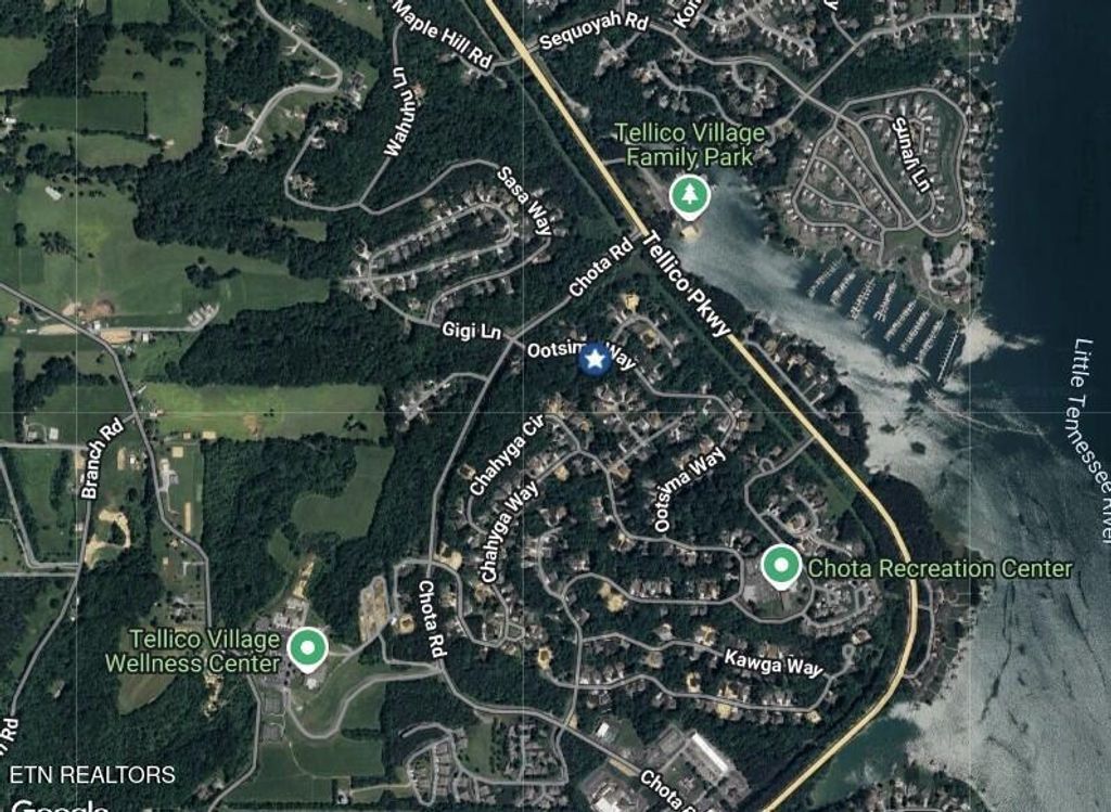 Photo of 272 Ootsima Way, Loudon, TN 37774 (MLS # 1283647)