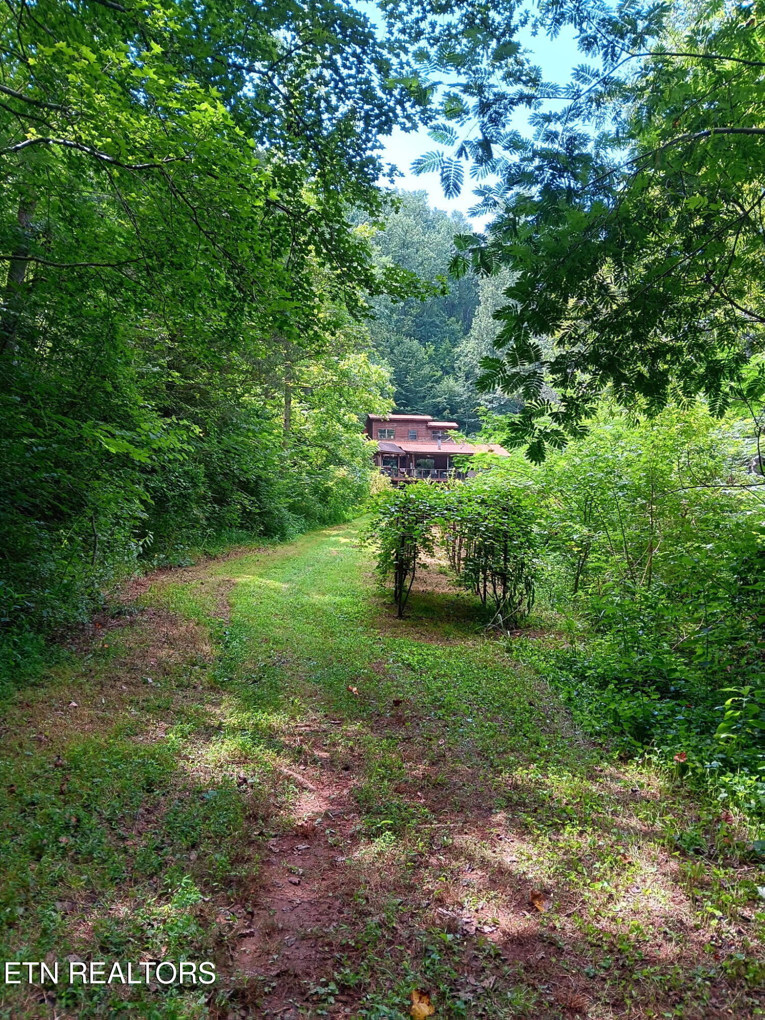 158 County Road 484