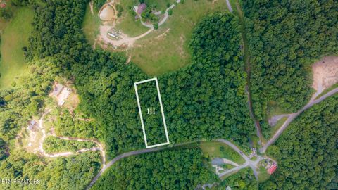 Photo of Lake Dr Lane, LaFollette, TN 37766 (MLS # 1345171)