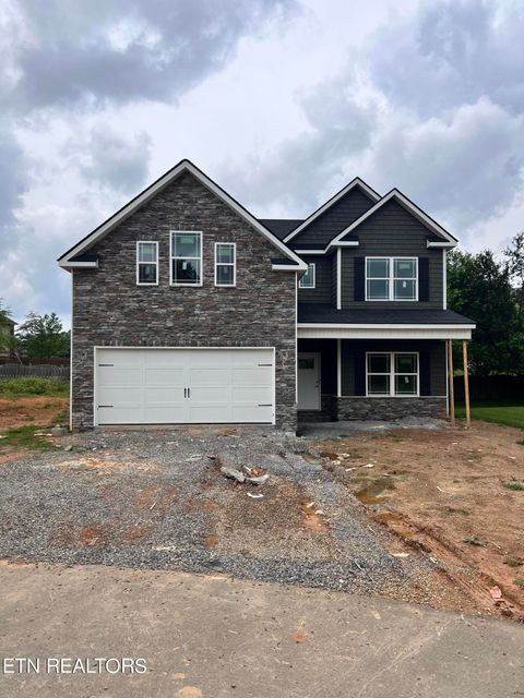 Single Family Residence in Knoxville TN 1005 Letsinger Cove Lane.jpg