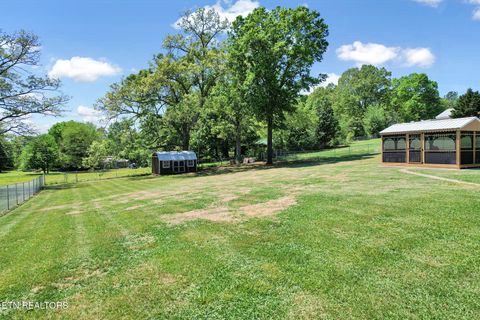 Tiny photo for 241 County Road 158, Riceville, TN 37370 (MLS # 1337717)