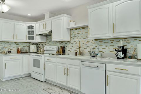 Tiny photo for 241 County Road 158, Riceville, TN 37370 (MLS # 1337717)