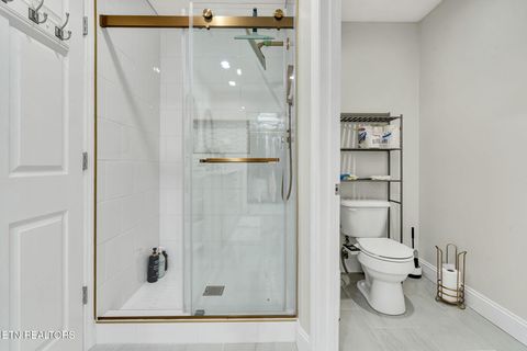 Tiny photo for 241 County Road 158, Riceville, TN 37370 (MLS # 1337717)