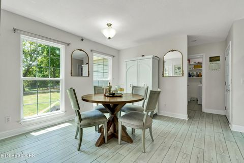 Tiny photo for 241 County Road 158, Riceville, TN 37370 (MLS # 1337717)