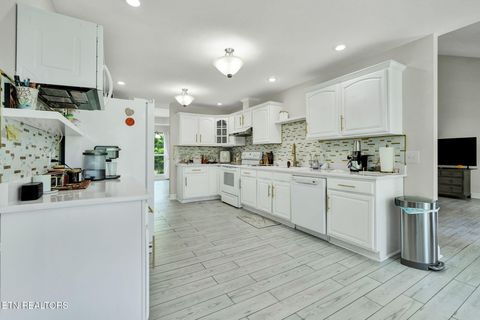 Tiny photo for 241 County Road 158, Riceville, TN 37370 (MLS # 1337717)