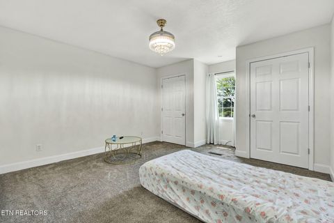 Tiny photo for 241 County Road 158, Riceville, TN 37370 (MLS # 1337717)