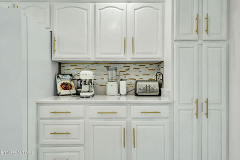 Tiny photo for 241 County Road 158, Riceville, TN 37370 (MLS # 1337717)