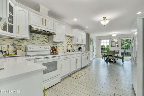 Tiny photo for 241 County Road 158, Riceville, TN 37370 (MLS # 1337717)