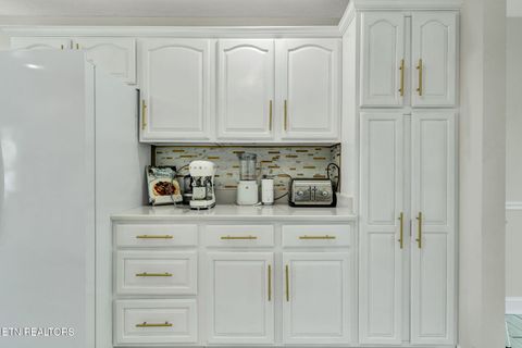 Tiny photo for 241 County Road 158, Riceville, TN 37370 (MLS # 1337717)