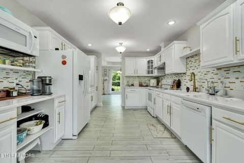 Tiny photo for 241 County Road 158, Riceville, TN 37370 (MLS # 1337717)