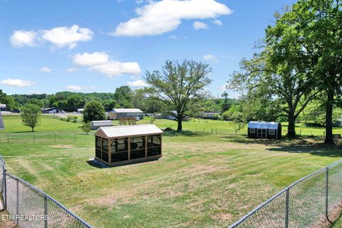 Tiny photo for 241 County Road 158, Riceville, TN 37370 (MLS # 1337717)