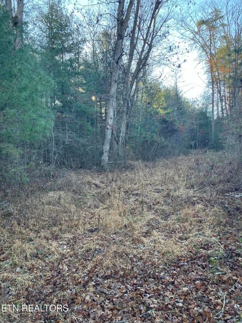 Tiny photo for 116 Ernie Hurst Rd Rd, Deer Lodge, TN 37726 (MLS # 1325522)