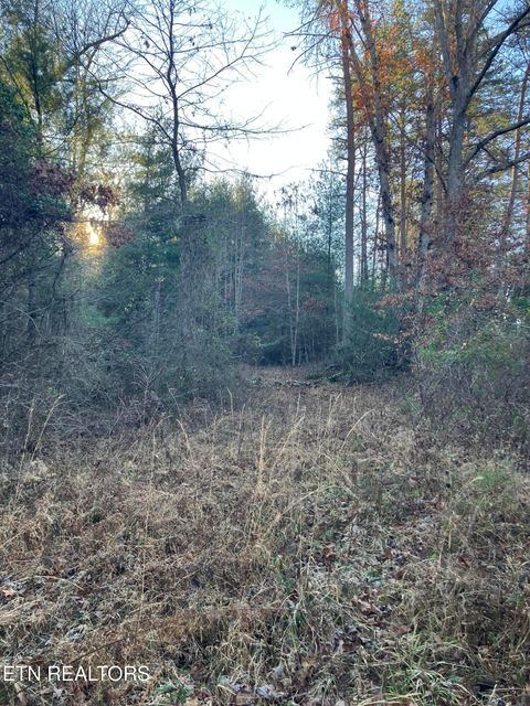 Tiny photo for 116 Ernie Hurst Rd Rd, Deer Lodge, TN 37726 (MLS # 1325522)