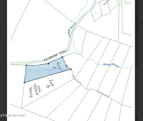 Photo of 116 Ernie Hurst Rd Rd, Deer Lodge, TN 37726 (MLS # 1325522)