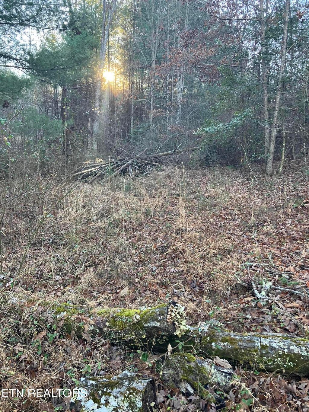 Photo of 116 Ernie Hurst Rd Rd, Deer Lodge, TN 37726 (MLS # 1325522)