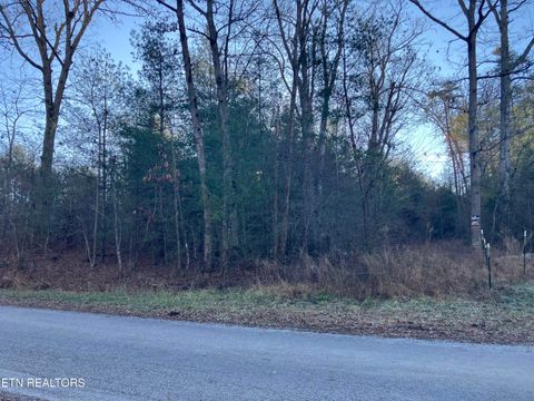 Tiny photo for 116 Ernie Hurst Rd Rd, Deer Lodge, TN 37726 (MLS # 1325522)