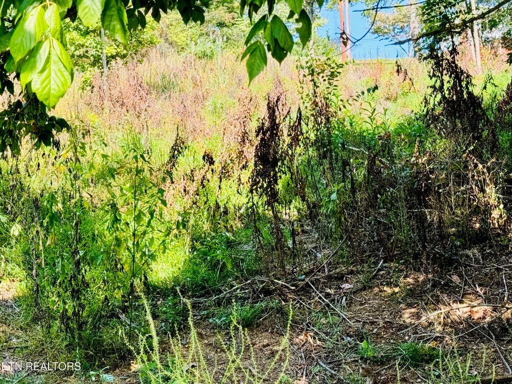 Photo of CHEROKEE Circle, Tazewell, TN 37879 (MLS # 1274361)