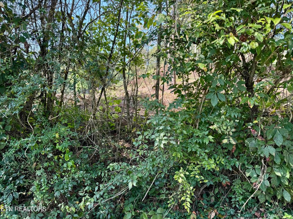 Photo of CHEROKEE Circle, Tazewell, TN 37879 (MLS # 1274361)