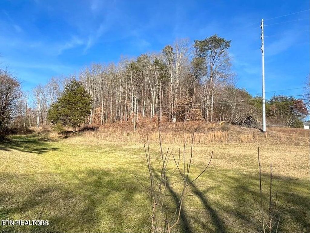 Photo of 4933 Circle Rd, Corryton, TN 37721 (MLS # 1256584)