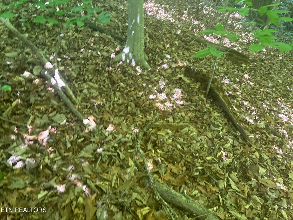 Photo of 1160 Navy Drive SW, Knoxville, TN 37920 (MLS # 1338323)