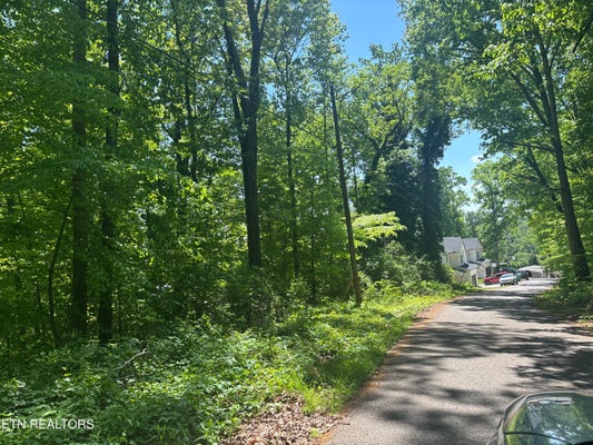 1160 NAVY DR SW, KNOXVILLE, TN 37920 - Image 239f684c8cd7f626d5dbf06ff5363cd3/2870194990