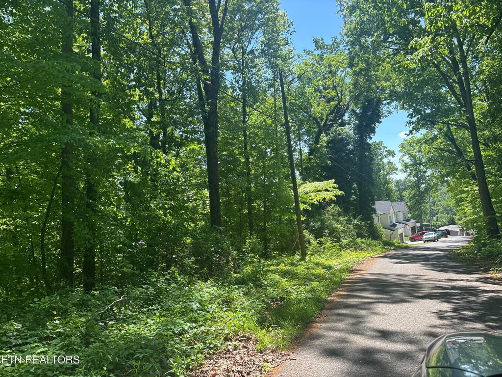 Photo of 1160 Navy Drive SW, Knoxville, TN 37920 (MLS # 1338323)