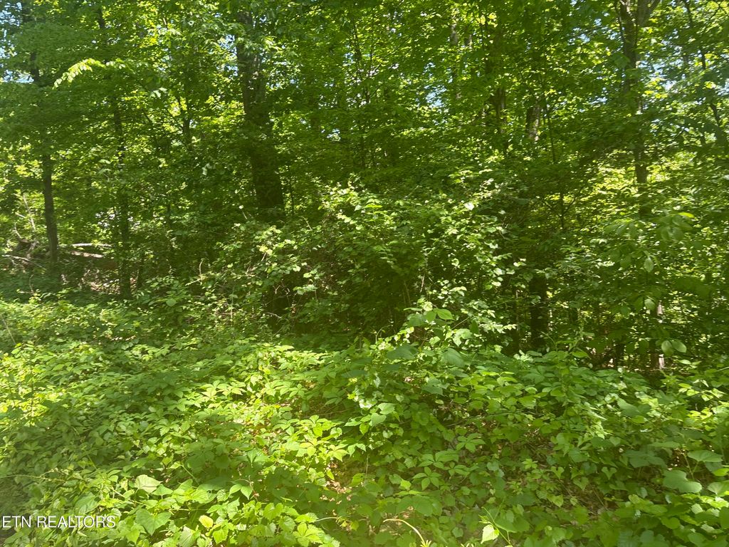 Photo of 1160 Navy Drive SW, Knoxville, TN 37920 (MLS # 1338323)